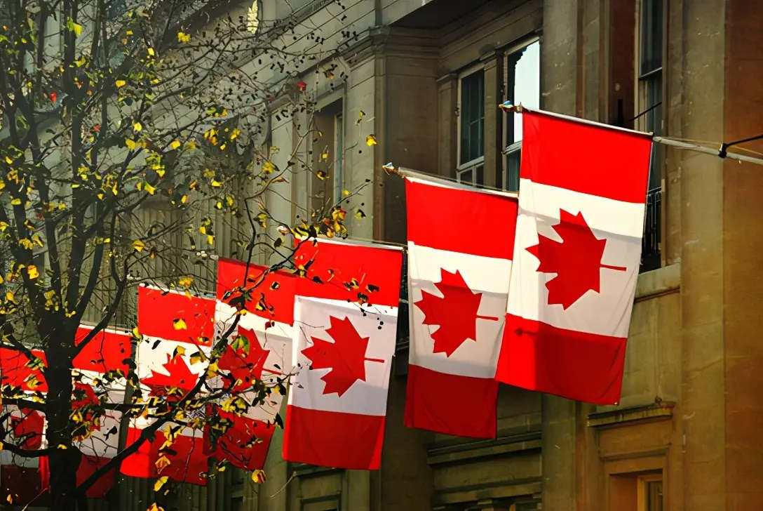 加拿大安省出生证明完整公证和两个机构认证